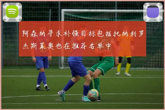 阿森纳寻求补强目标包括托纳利罗杰斯莱奥也在推荐名单中